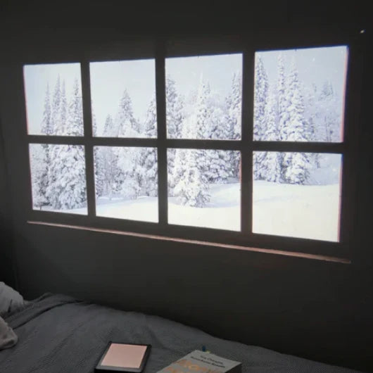 Nova Cast™ Projector