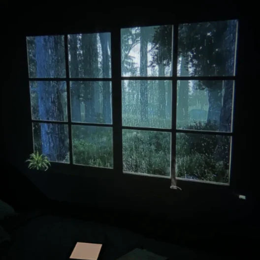 Nova Cast™ Projector