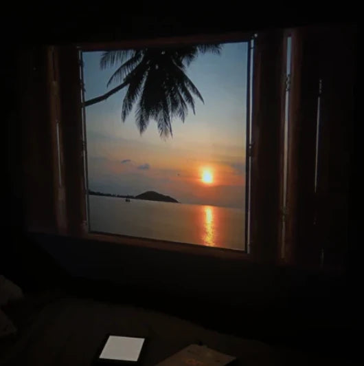 Nova Cast™ Projector